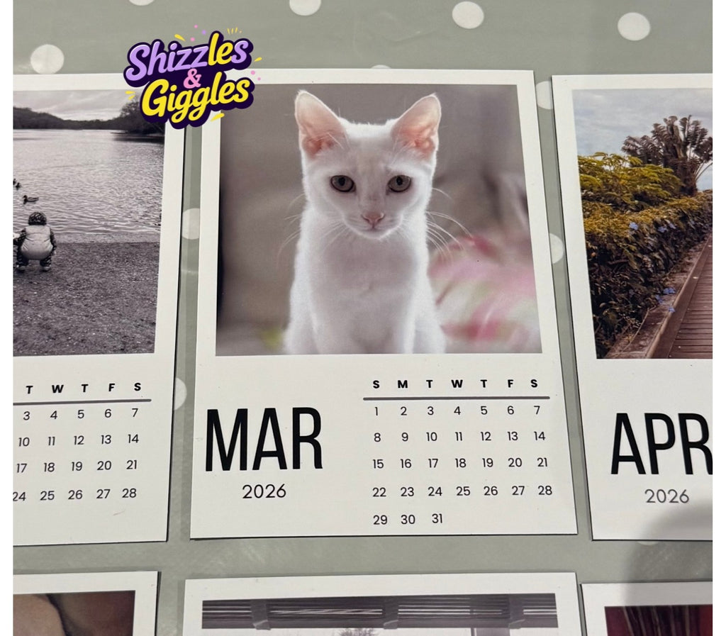 12-Month Magnetic Calendar Set